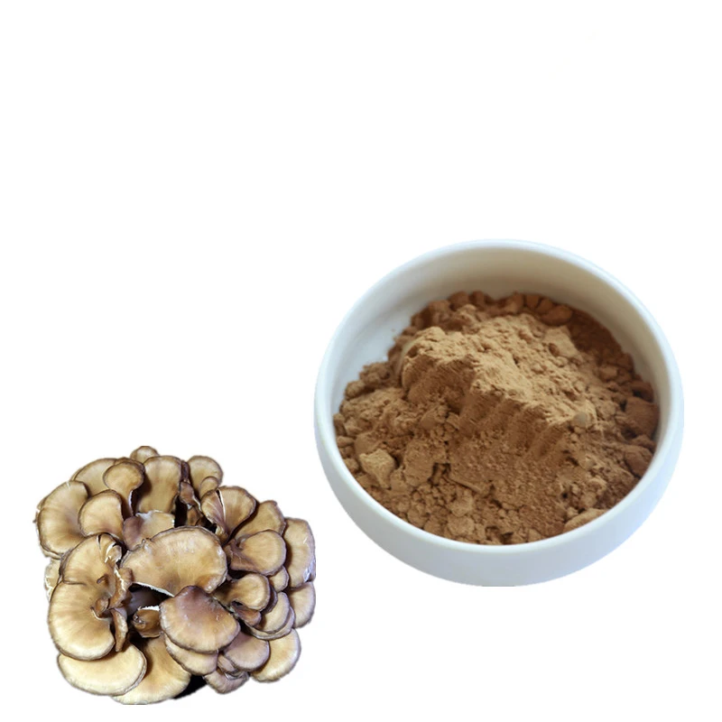 Popular Product Maitake Mushroom & Grifola Frondosa Extract Powder 45% Beta D Glucan