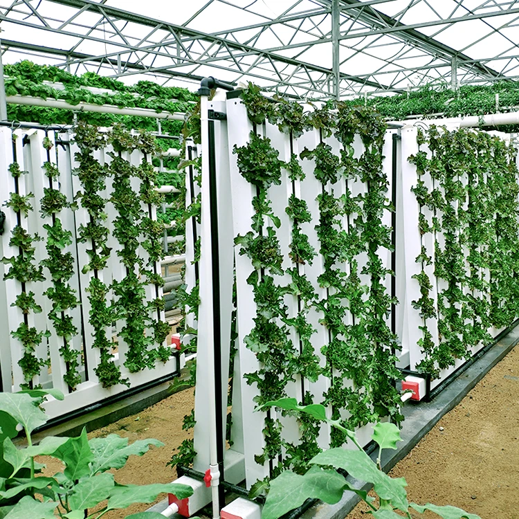 Non-pollution Factory Supply Zip System Hydroponic Nutrient Garden ...