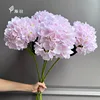 Light pink-new style