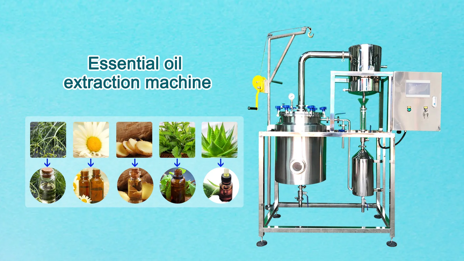 Steam distillation for essential oils фото 68