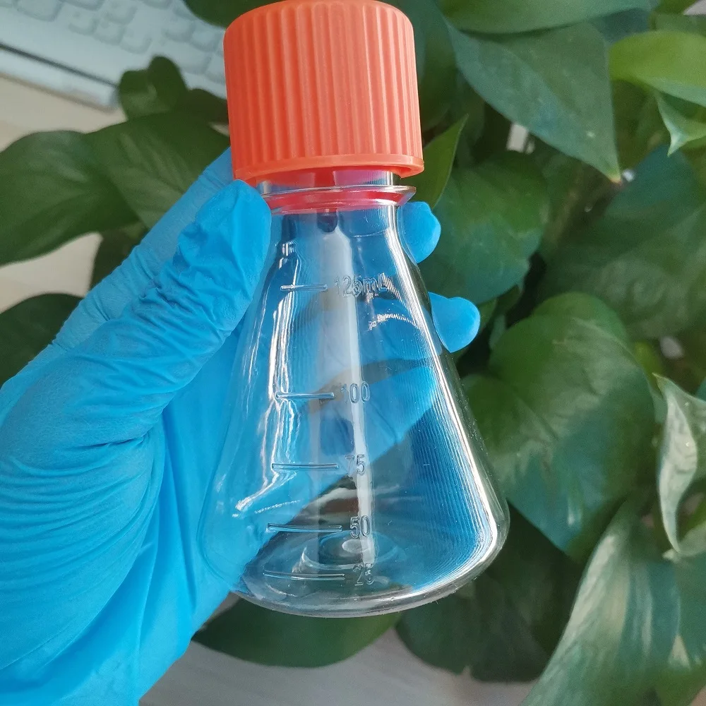 250ml 125ml 500ml Polypropylene Conical Flasks Bottom Laboratory Erlenmeyer Flasks Bottle 1000ml Transparent