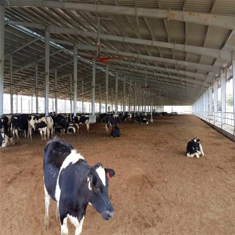 Соседи могут подать в суд с требованием снести сарай для коровы в Бердске