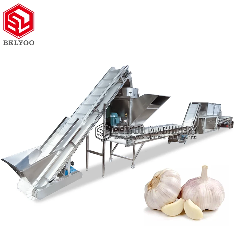 Customizable Garlic Peeling Processing Machine Line