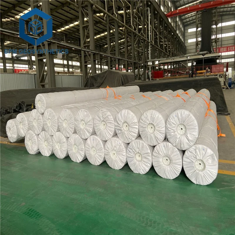 HDPE Geomembrane