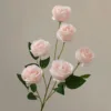 สีชมพู