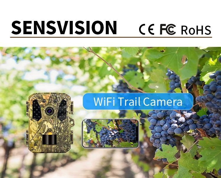 Mini Hidden Trail Camera 1080p 24mp Animal Scouting Trap Farm Backyard