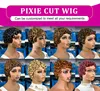 pixie cut wig