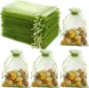 Fruit green
