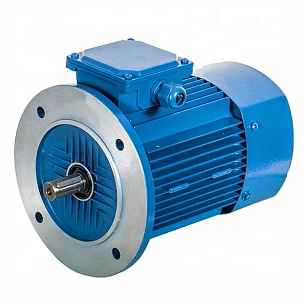 YS8024 Three Phase Asynchronous Motor
