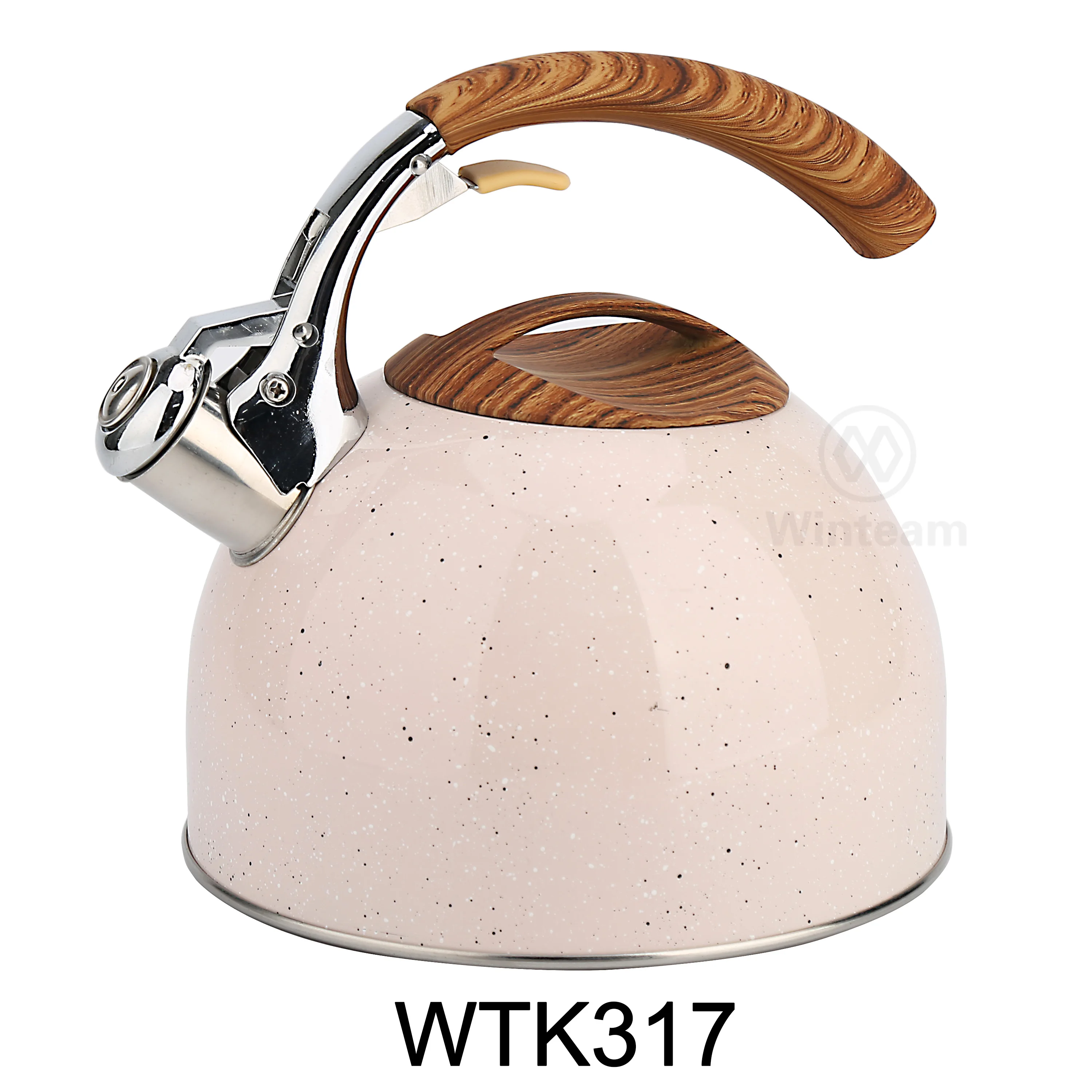 Stainless Steel Coloured 3l Tea Kettle Non Electric Buy Stainless