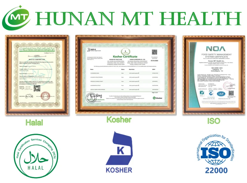 High Quality Free Sample Plant Extract Phyllanthus Niruri Extract 10:1 Chanca Piedra Extract Bhumi Amla Powder Bulk