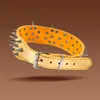XQ068 Gold Studded Collar