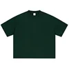 Menta