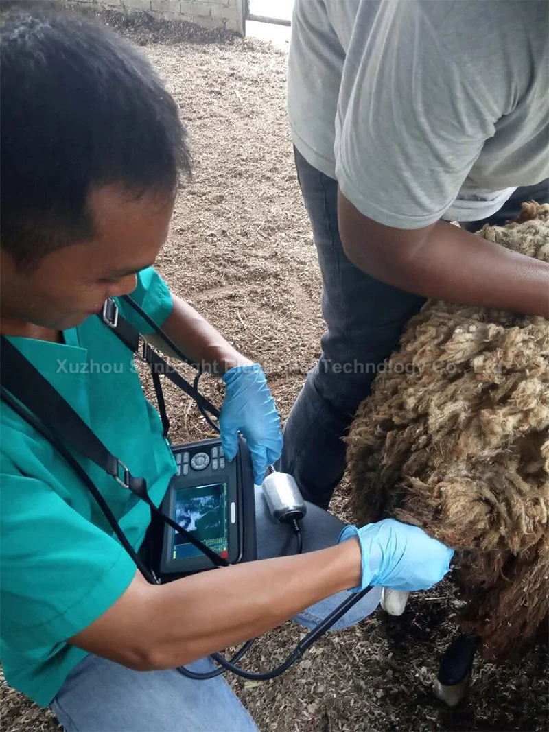 Mobile Handheld Vet Ultrasound Machine Veterinary Ultrasound Ultrasonido Portatil