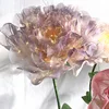 Pink purple (diameter 60cm )