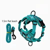 Conjunto de correa cian