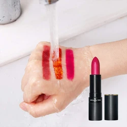 Cosmetics Set Kit Supplier Long Lasting Lipstick Private Label Waterproof Nude Liquid Matte In Cream Pearl Matte