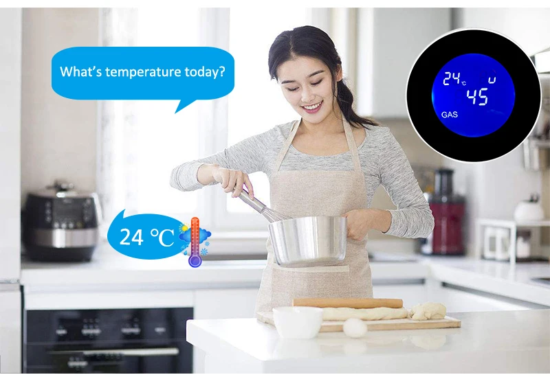 gas leakage detector