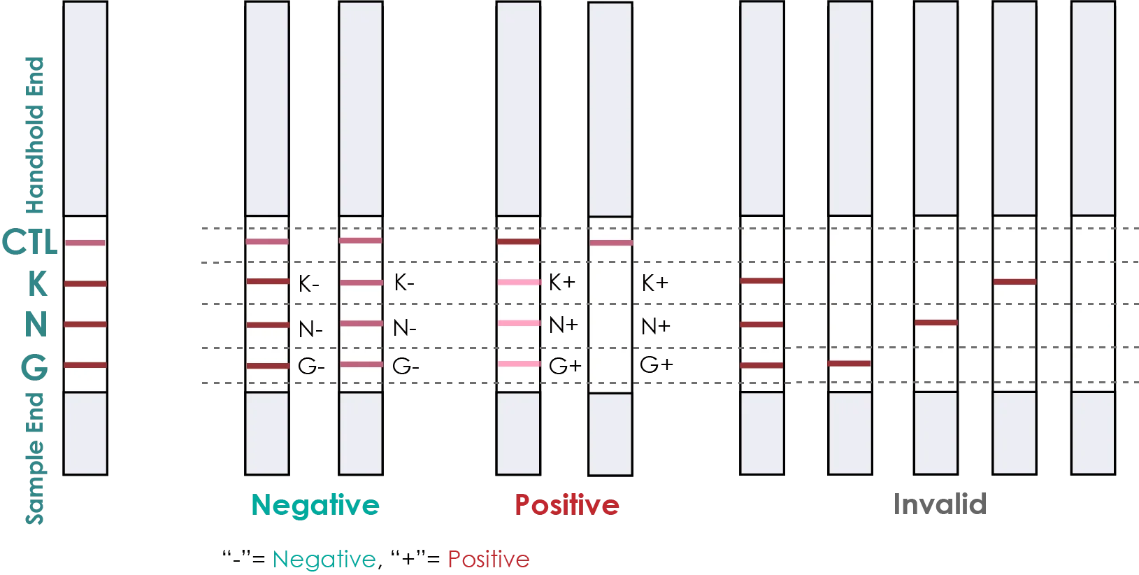Sc124 Dairypal Milk Antibiotics Test Kit Kanamycin Neomycin Gentamicin 3in1 Rapid Test Dipstick