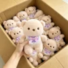 15 peluche (contattaci per il catalogo con oltre 6000 modelli)