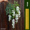 White 2 branches