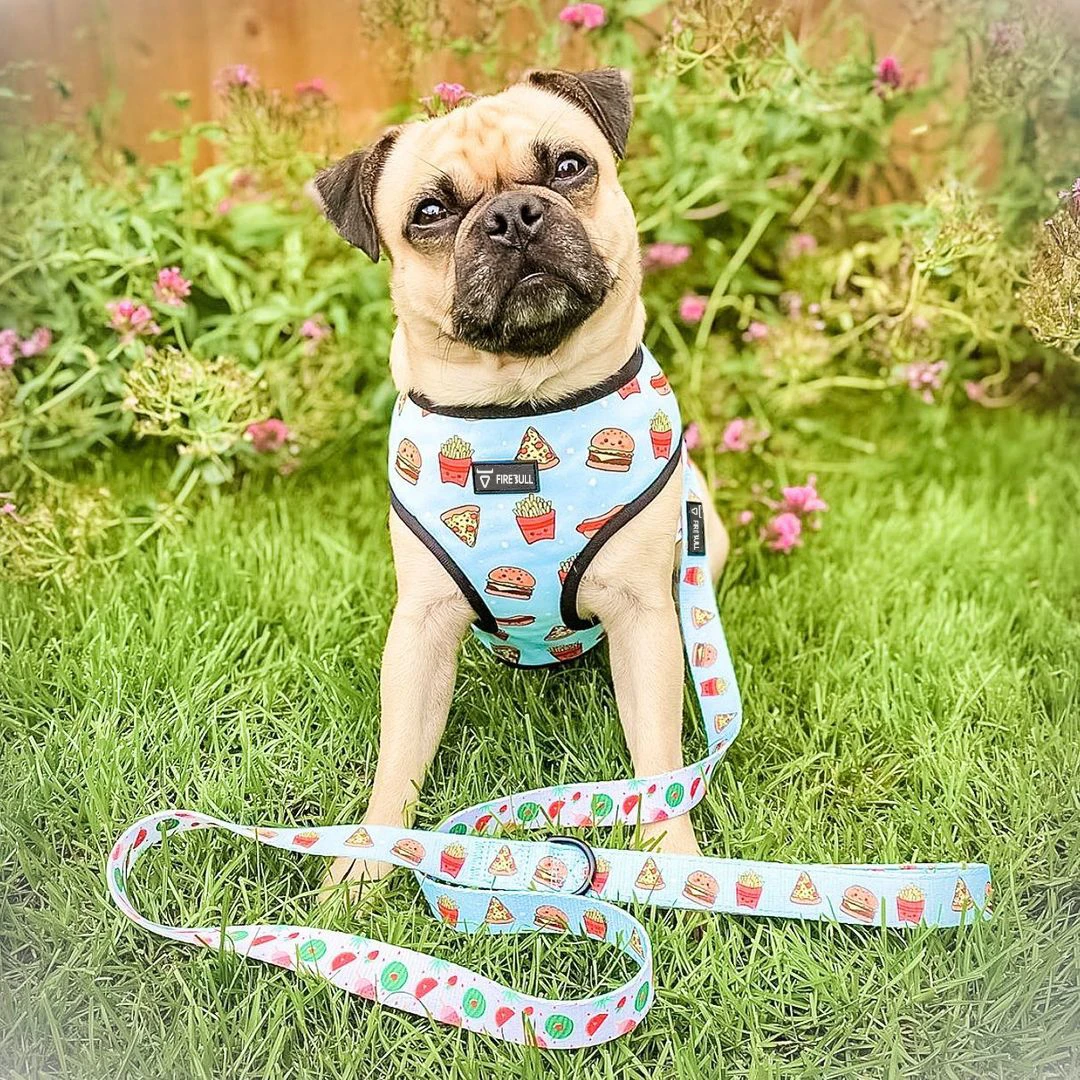 Wholesale Custom Nylon and Polyester Dog Harness Set Neoprene Dog