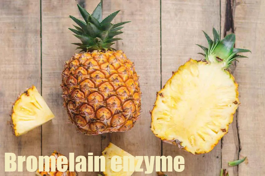 Natural Highquality Bromelain Pineapple Bromelain Enzymes Extract Bromelain Enzymes Buy