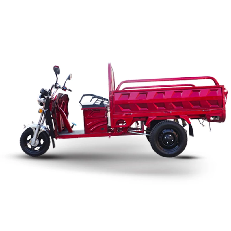 3 Wheel Cargo Electric EEC