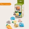 35 giocattoli colorati con erba gatta + espositore