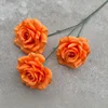 Rosa de diamante sin hojas naranja