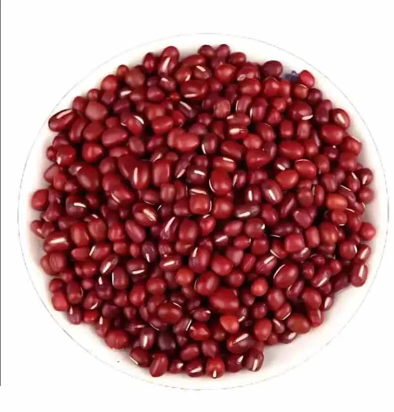 Cheap Red Cowpea Bean Red Vigna Bean Export Grade Small Red Beans for Sale