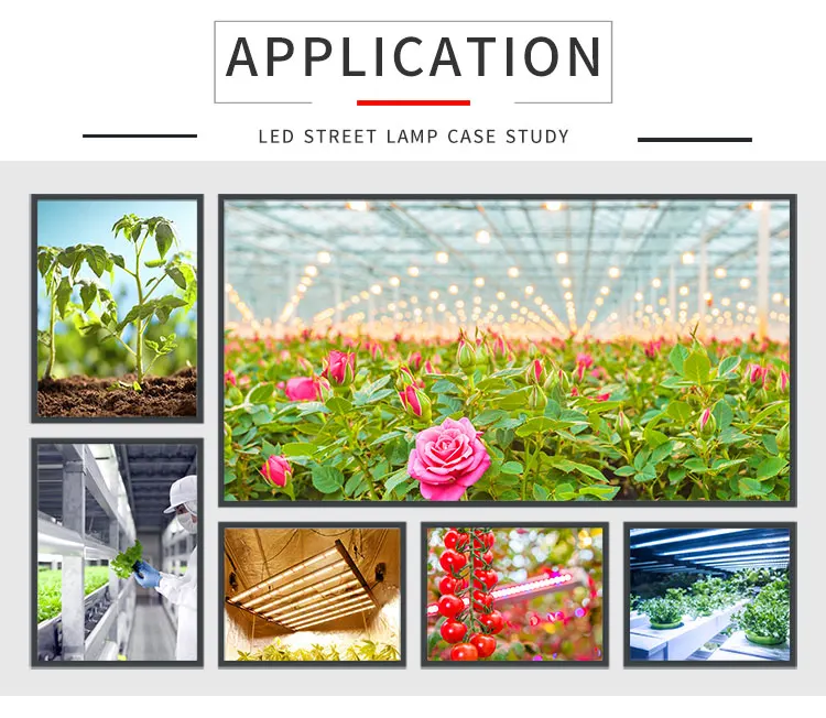 LED GROW LIGHT (10).jpg
