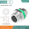 M8-A-8 hembra M10*0,75