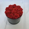 Rosa Roja 12