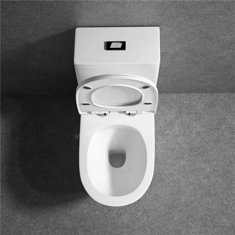 Wholesale Modern Bathroom Dual Flush Water Closet Ceramic Washdown Rimless Ptrap One Piece