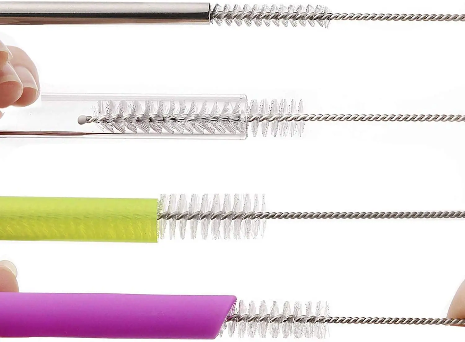 筆管榕的栽培照護方法, image size:1500x1104