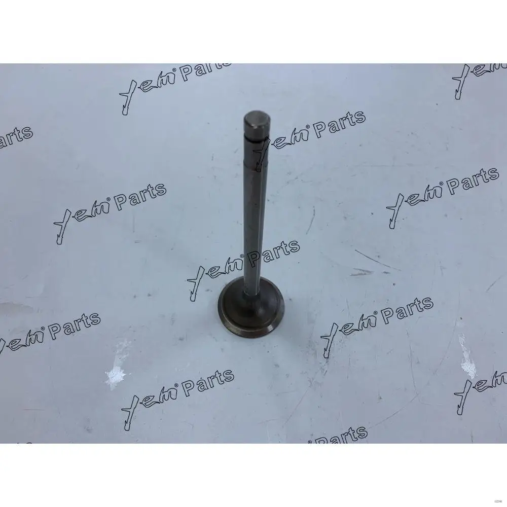 10PE1 EX Valve Kit for Isuzu