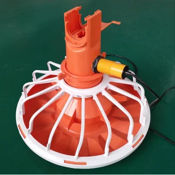 floor management poultry pan feeder for chicken automatic feeding system