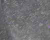 Carbonio forgiato e viola