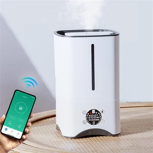 Nice Price Temperature Display Mister Spray Diffuser Newly Negative Ion Warm Mist Steam Essential Oil air Humidifier