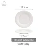 10.5inch plate white
