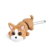 corgi