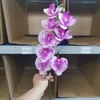 5#