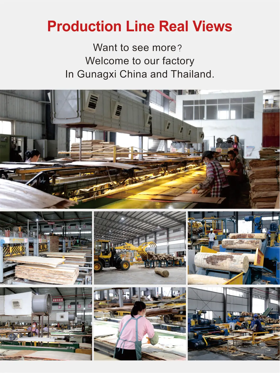 product southeast asia popular poplar black film faced plywood 48 shuttering plywood for building materials stocks in thailand chonburi-12