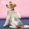 Grigio chiaro