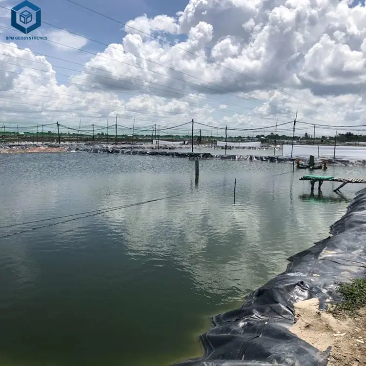 2mm HDPE Geomembrane Liner