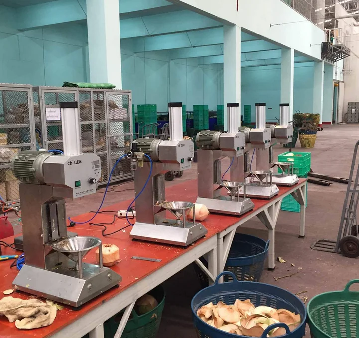 Hot Sale Automatic Coconut Cutting Green Coconut Peel Cutting Machine Price