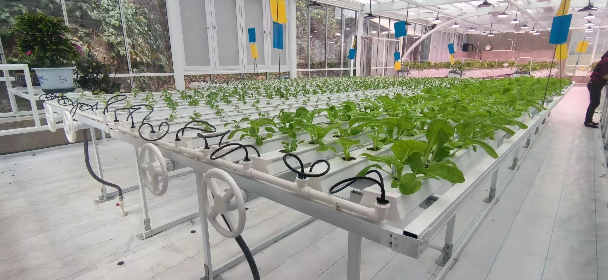 Indoor Nft Channels Garden Hydroponics Growing System Gutter Moving