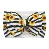 Black stripes sunflower