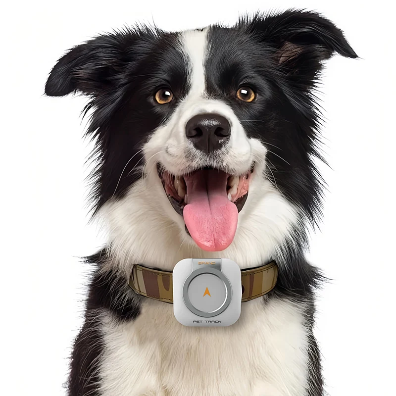 Mini GPS Tracker with Health Testing for Pet Cats & Dogs